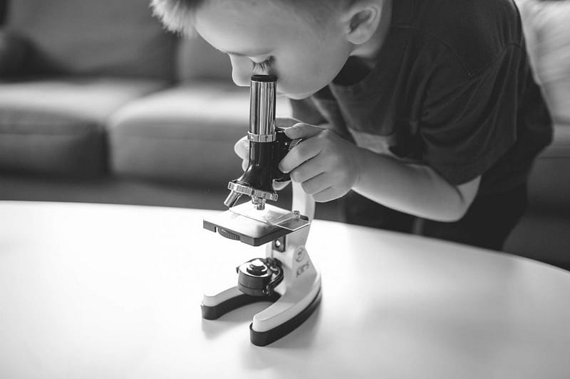 Kleiner Junge wirft einen Blick durchs Mikroskop um Details zu erkennen